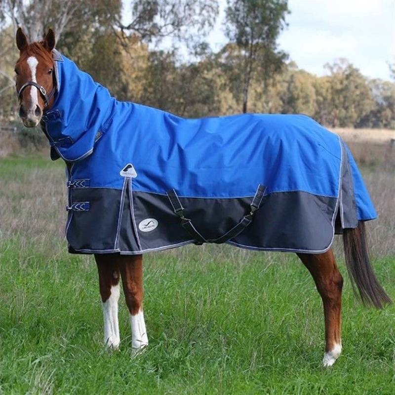 BACK SIZE 100CM